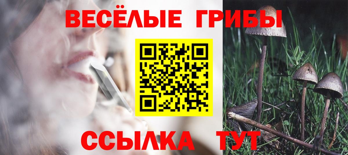 Галлюциногенные грибы Magic Shrooms Кисловодск