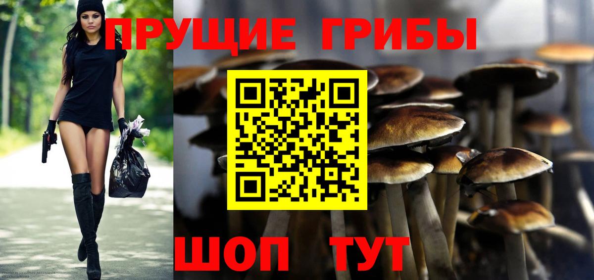цены наркотик  Вход с VPN  Псилоцибиновые грибы прущие грибы  Кисловодск  Галлюциногенные грибы Magic Shrooms 