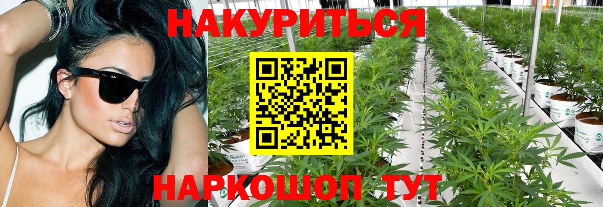Кисловодск  Конопля гибрид  Канабис OG Kush  Шишки марихуана план  Вход с VPN 